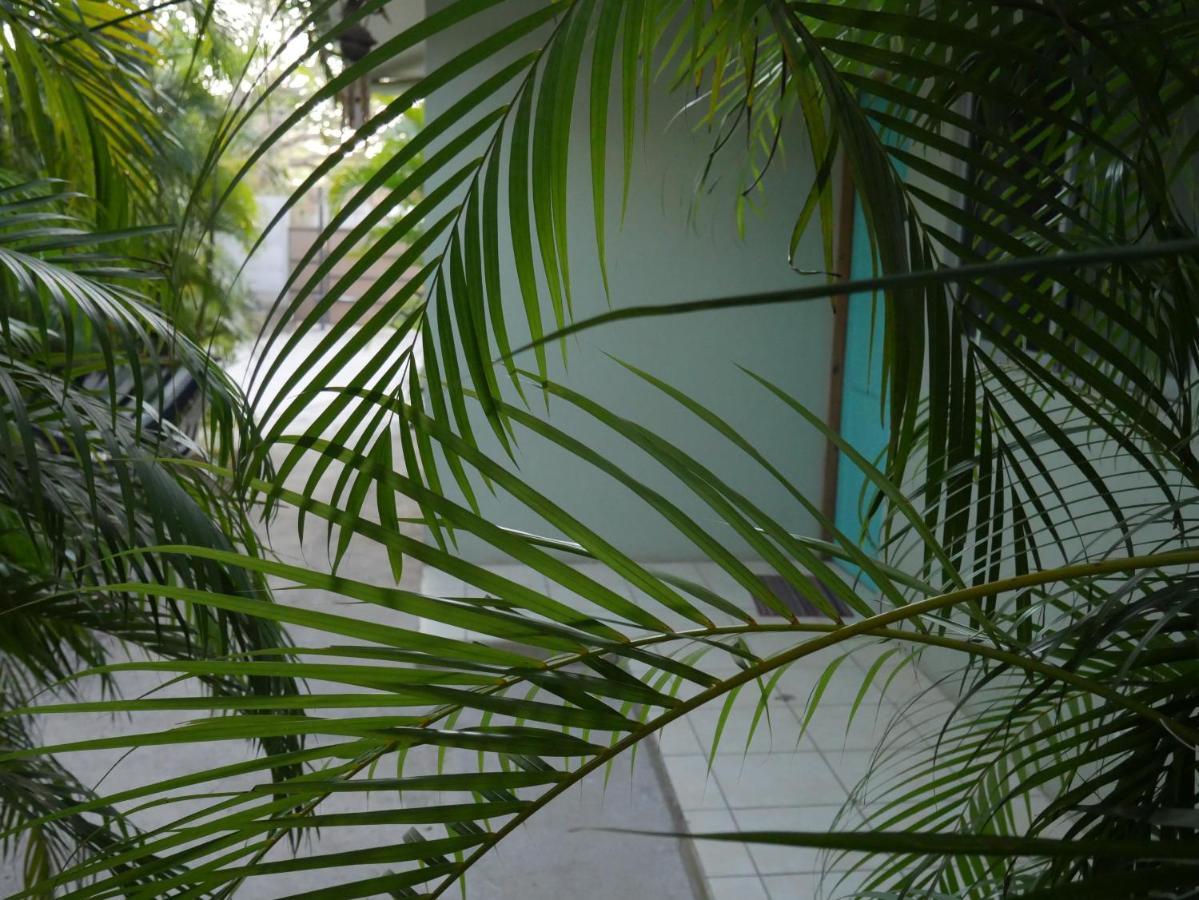 Hotel Cote Pacific Casitas Huacas Exteriér fotografie